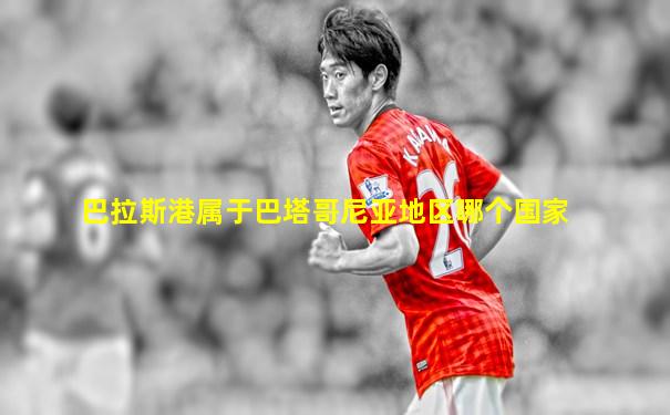 巴拉斯港属于巴塔哥尼亚地区哪个国家