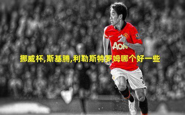 挪威杯,斯基腾,利勒斯特罗姆哪个好一些