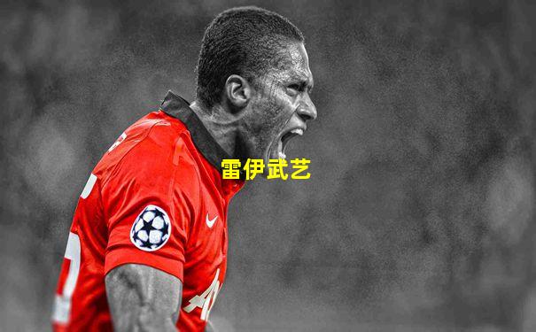 雷伊武艺